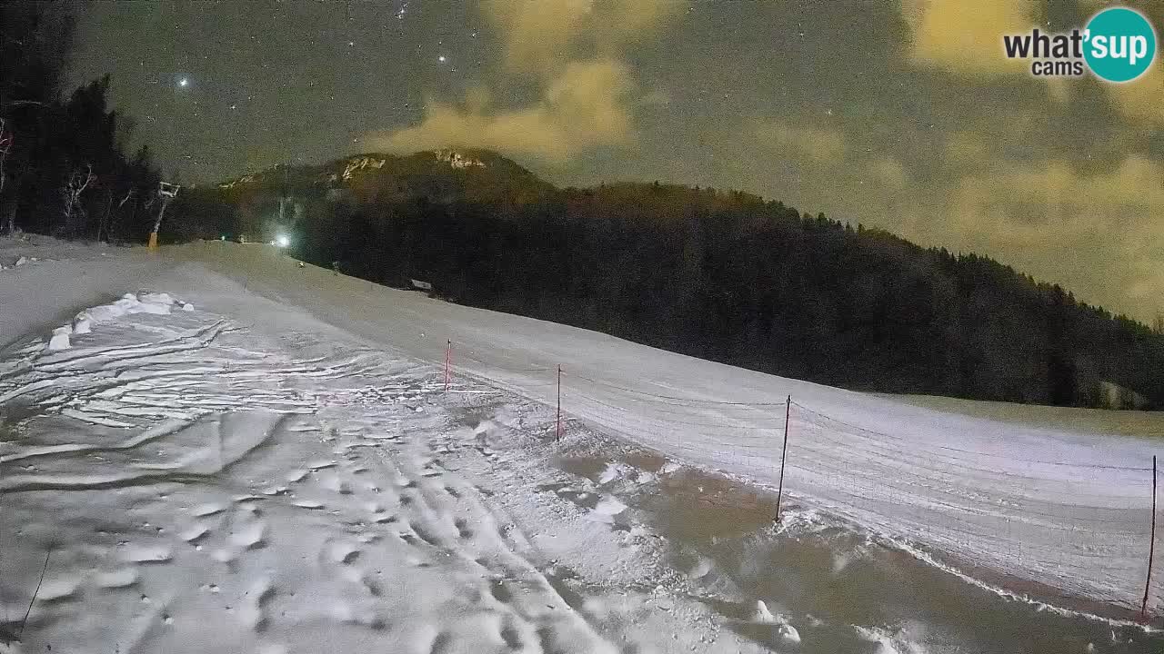 RTC Kranjska Gora | Brsnina