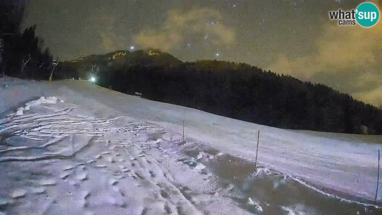 Comprensorio sciistico Kranjska Gora | Brsnina