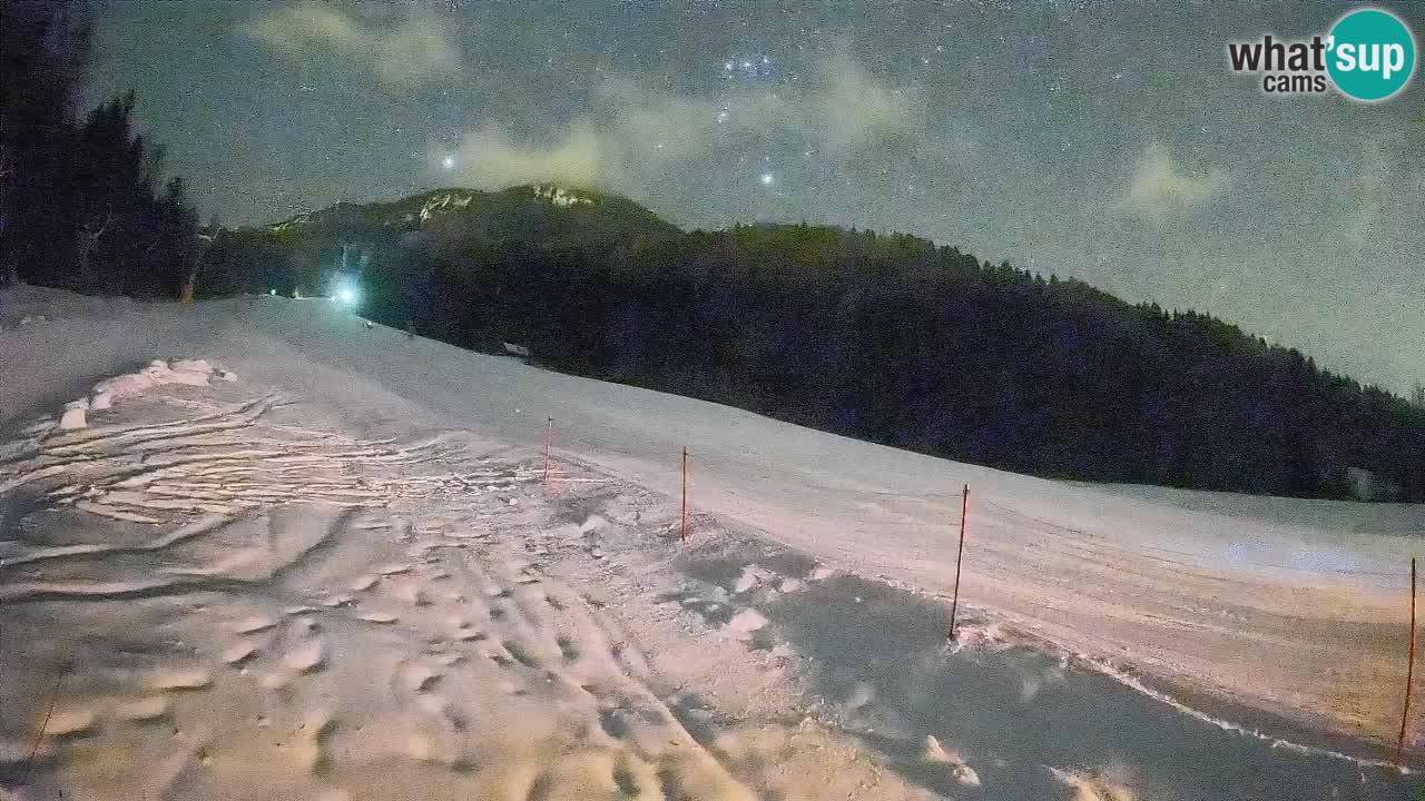 Kranjska Gora SKIJANJE | Brsnina