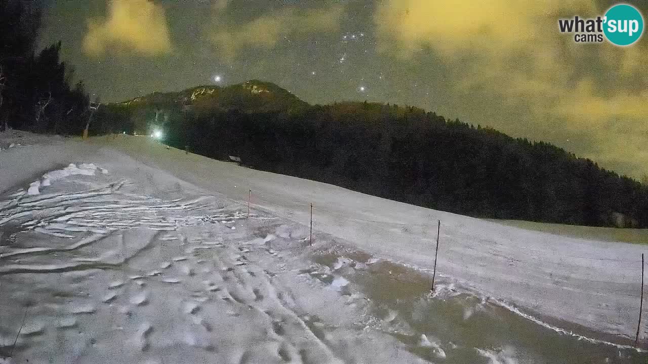 Kranjska Gora SKIJANJE | Brsnina