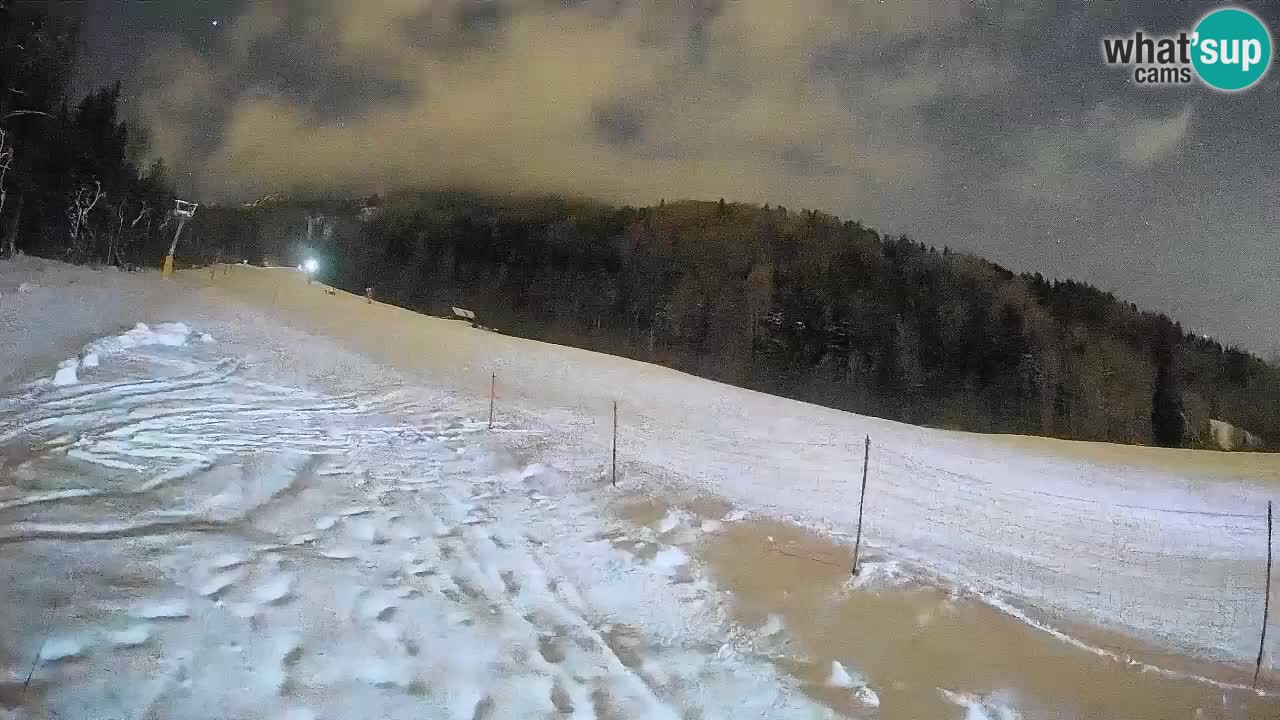 Ski Kranjska Gora | Brsnina