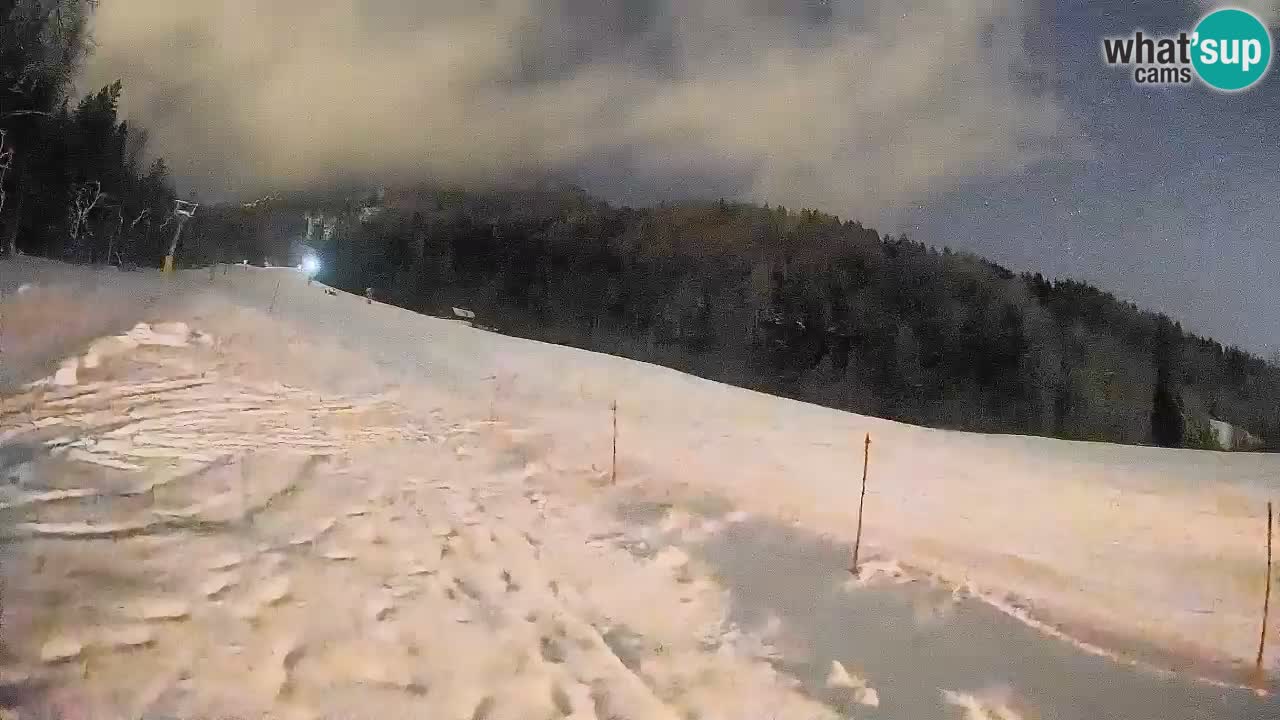 RTC Kranjska Gora | Brsnina