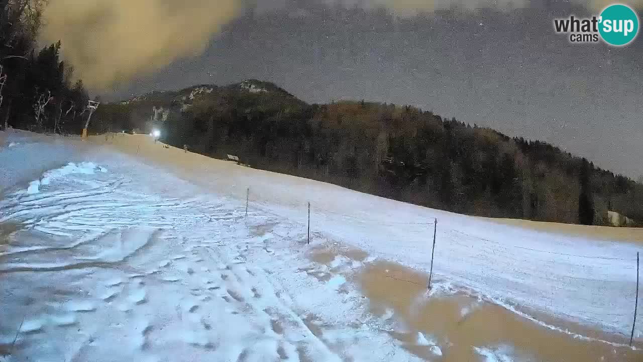 RTC Kranjska Gora | Brsnina