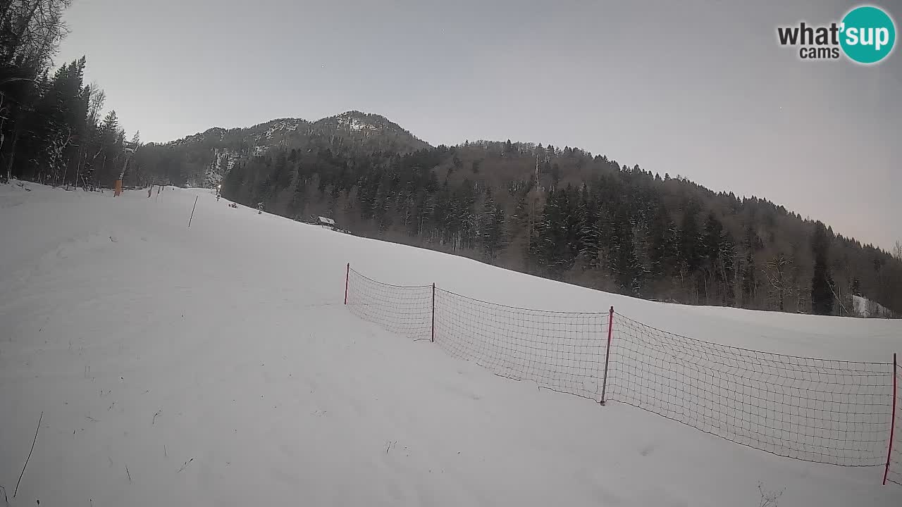 Ski Kranjska Gora | Brsnina