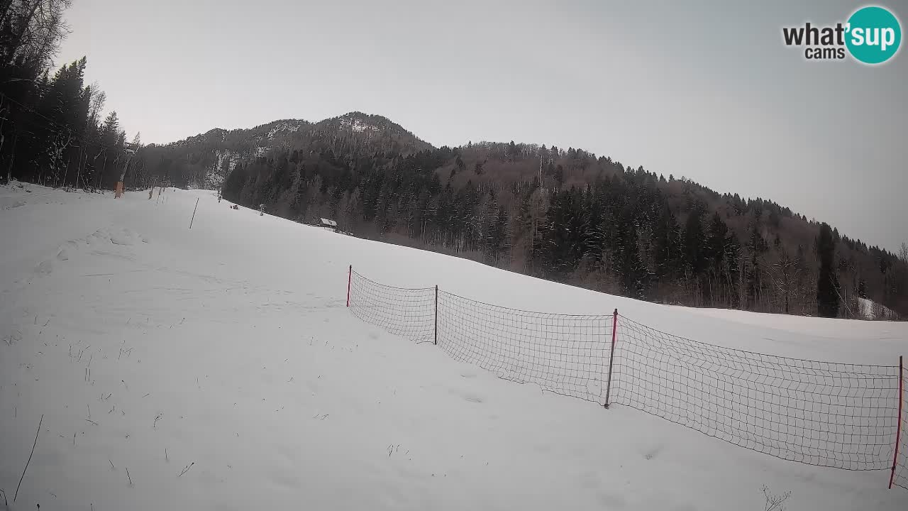 RTC Skigebiet Kranjska Gora | Brsnina