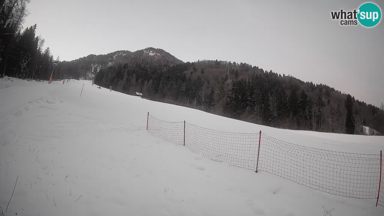 Esquí Kranjska Gora | Brsnina