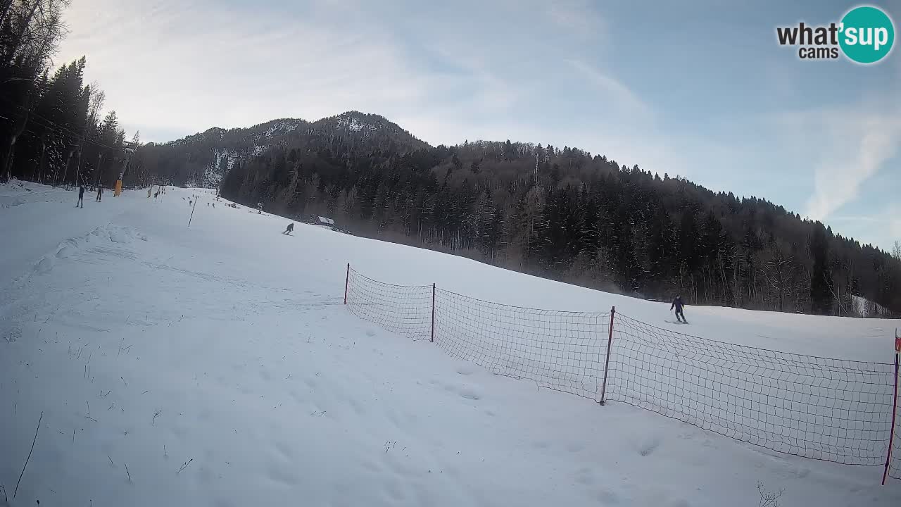RTC Kranjska Gora | Brsnina