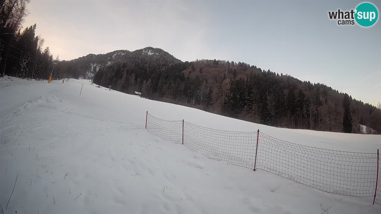 Esquí Kranjska Gora | Brsnina
