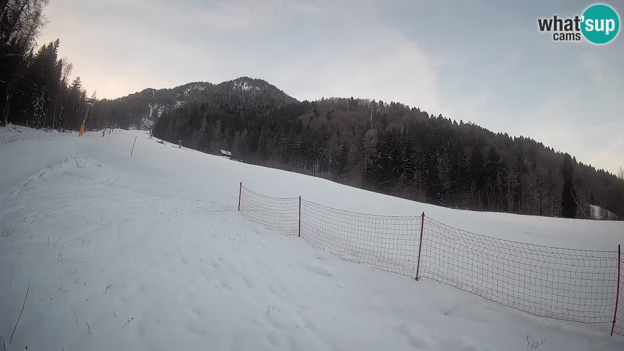 Kranjska Gora SKIJANJE | Brsnina