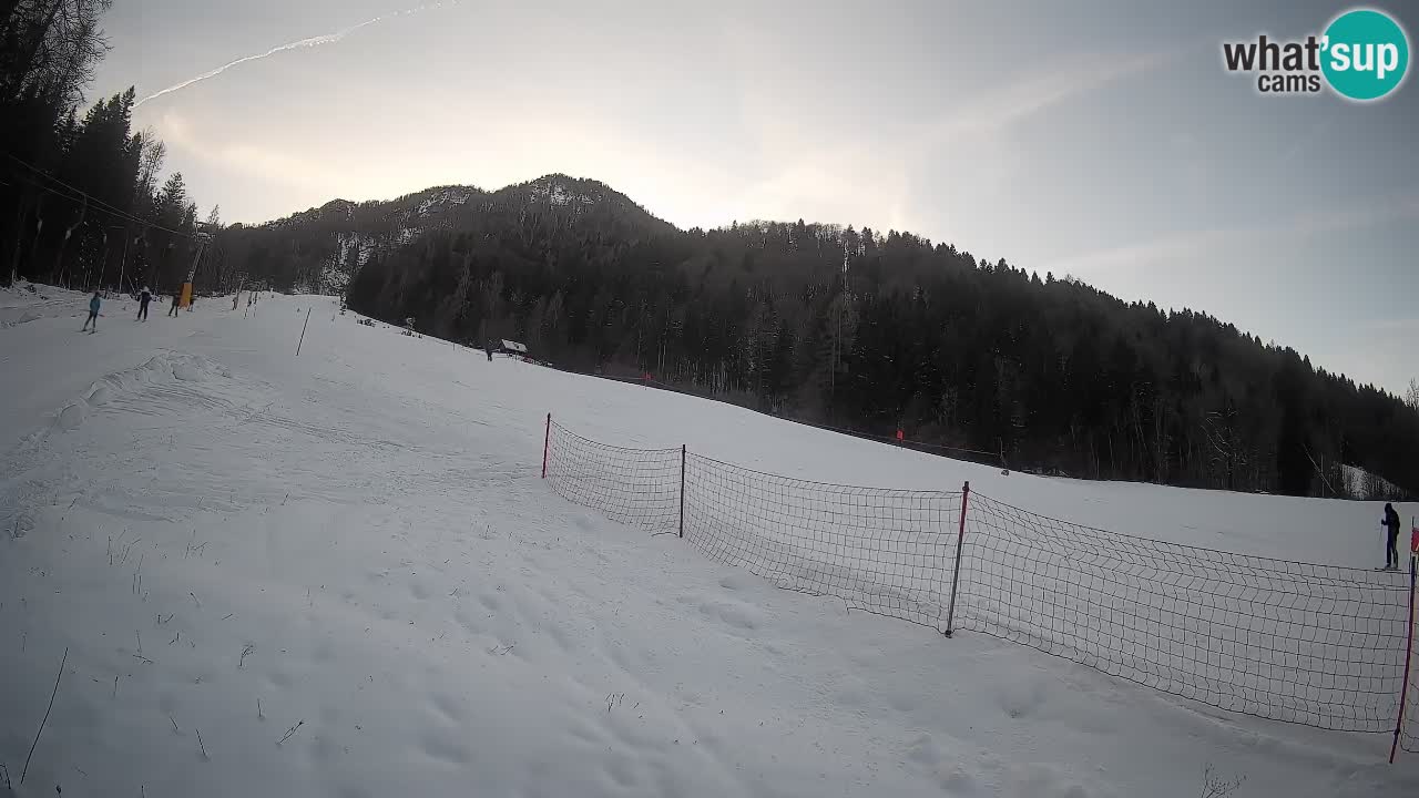 Ski Kranjska Gora | Brsnina