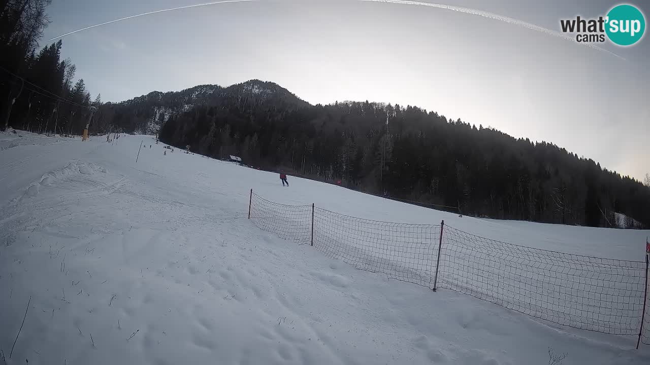 RTC Skigebiet Kranjska Gora | Brsnina