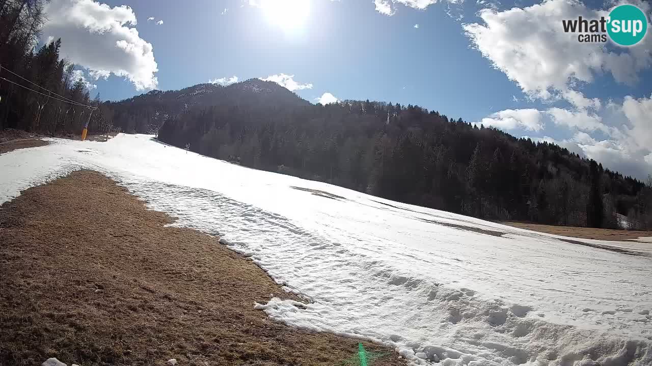 Ski Kranjska Gora | Brsnina