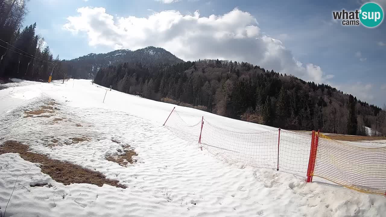 Ski Kranjska Gora | Brsnina