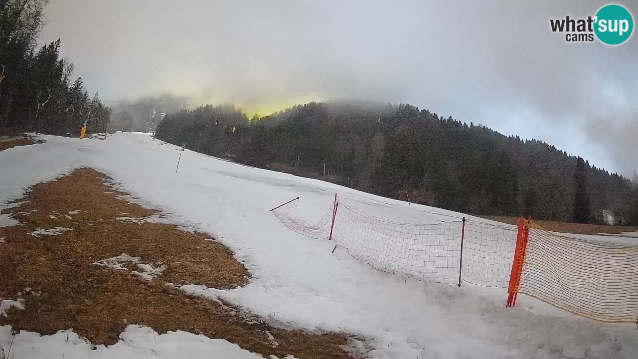 RTC Kranjska Gora | Brsnina