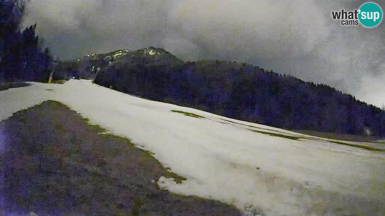 Kranjska Gora SKIJANJE | Brsnina
