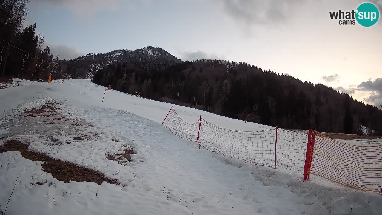 RTC Skigebiet Kranjska Gora | Brsnina