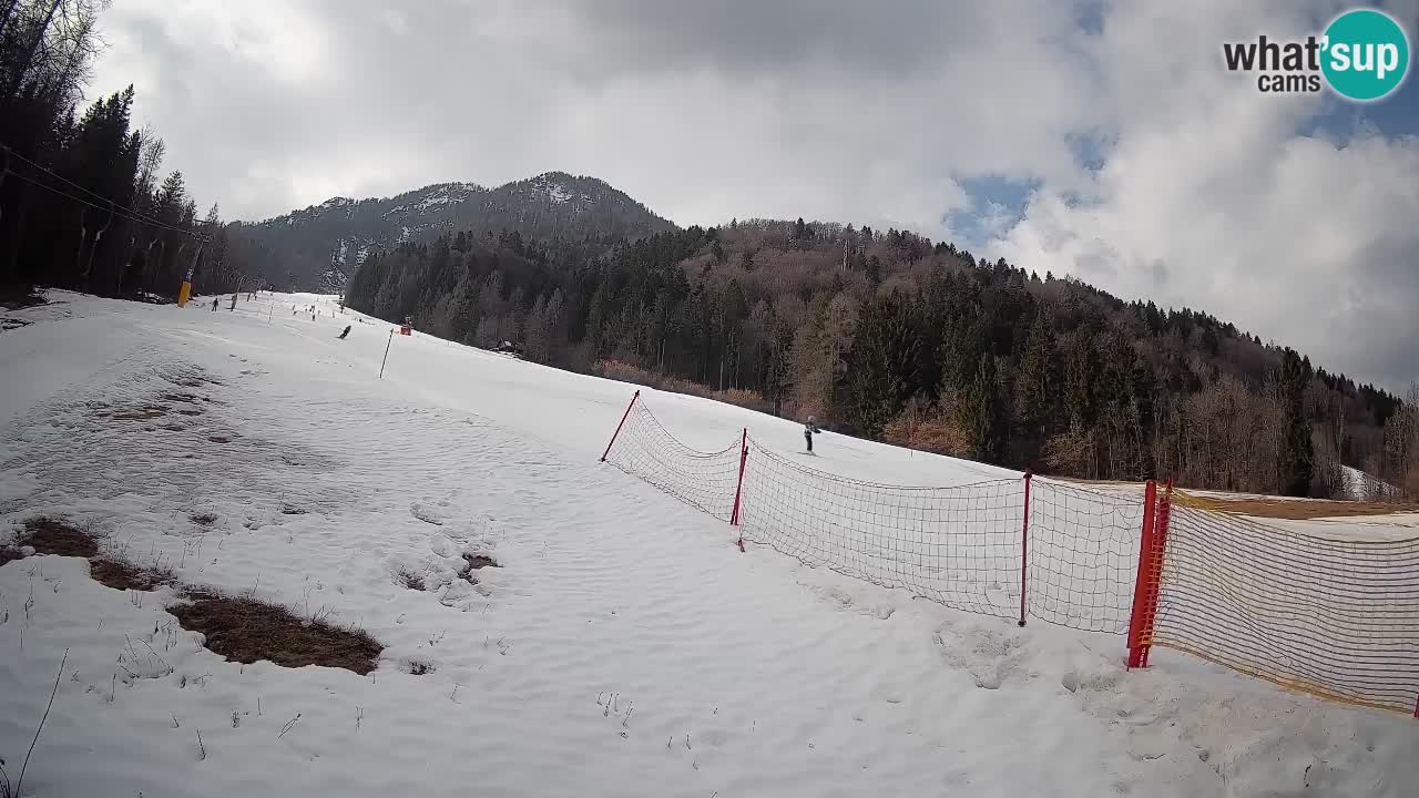 RTC Kranjska Gora | Brsnina
