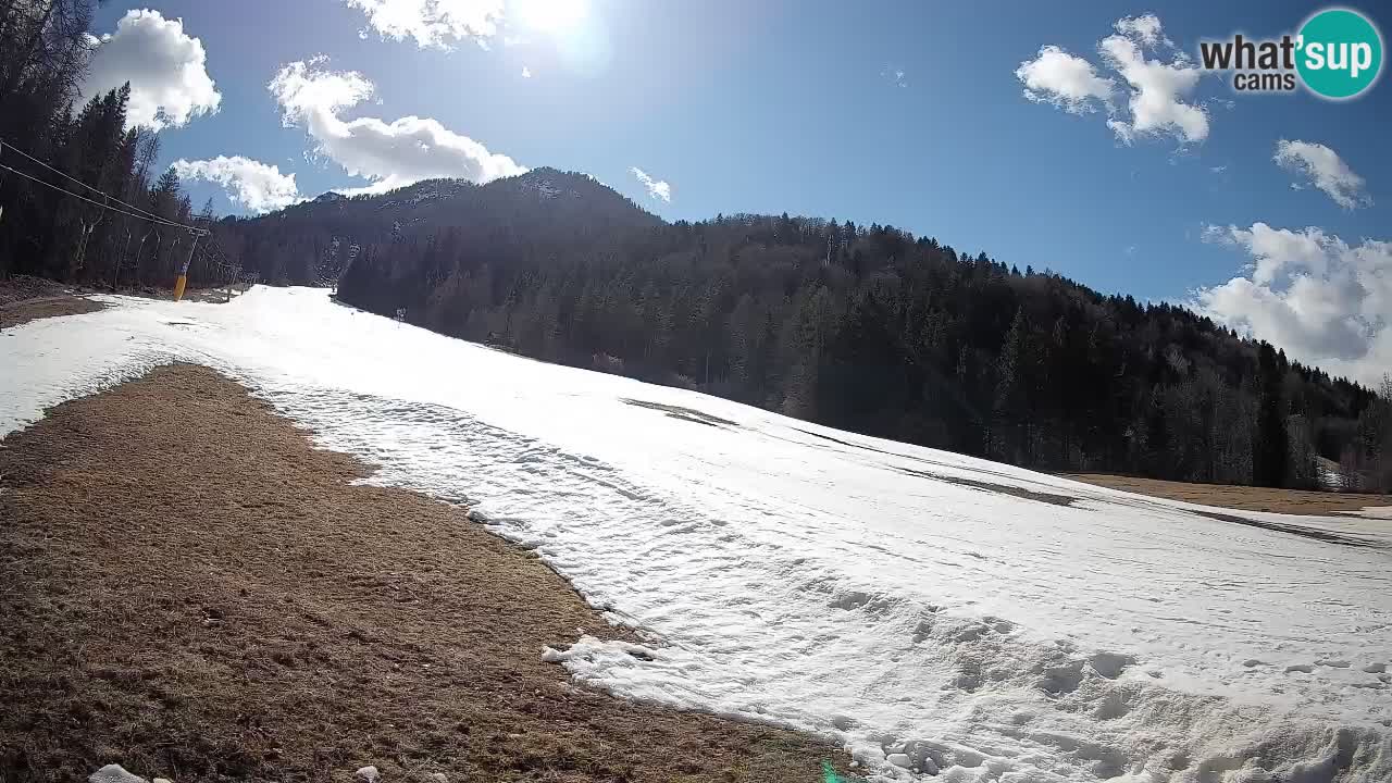 Comprensorio sciistico Kranjska Gora | Brsnina