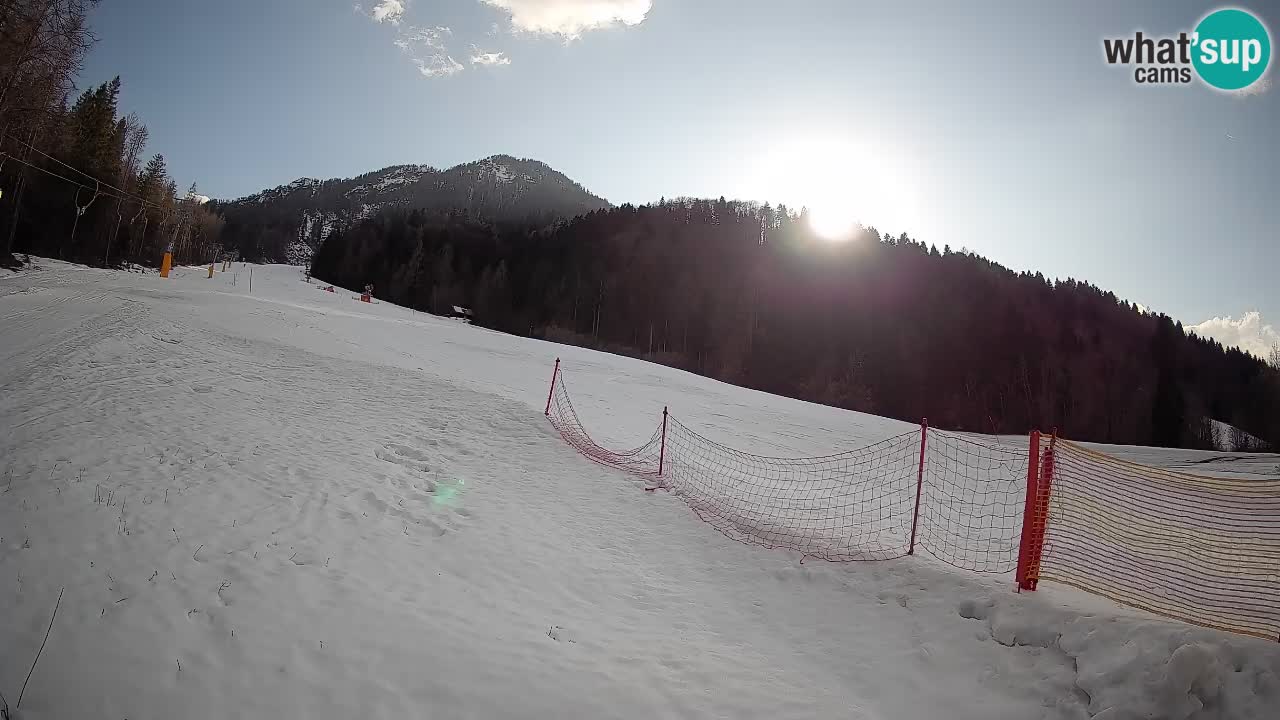 Esquí Kranjska Gora | Brsnina