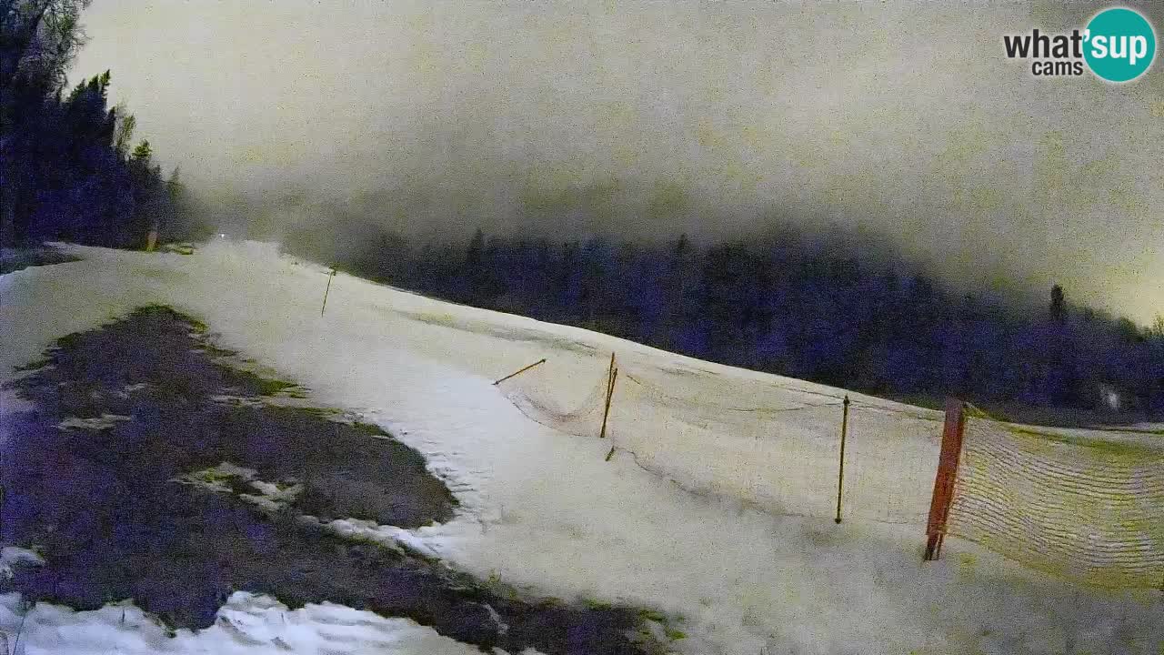 RTC Kranjska Gora | Brsnina