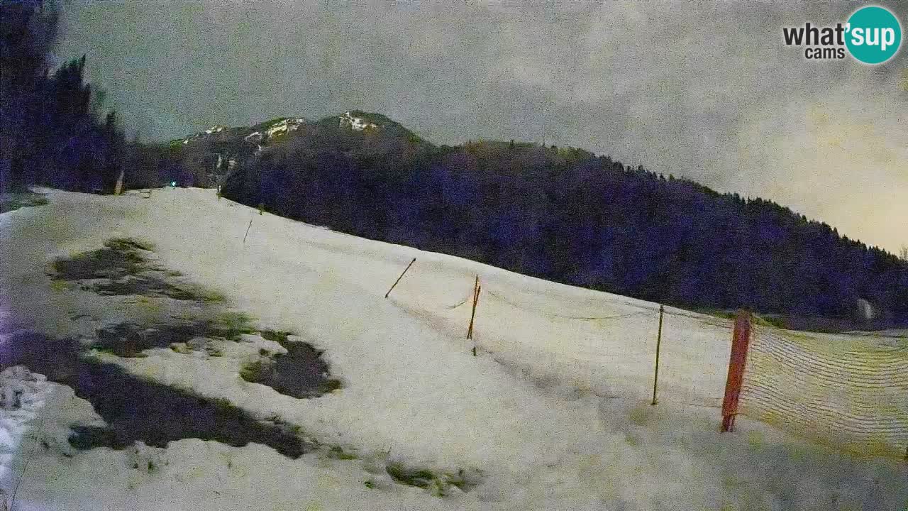 Kranjska Gora Station de ski | Brsnina