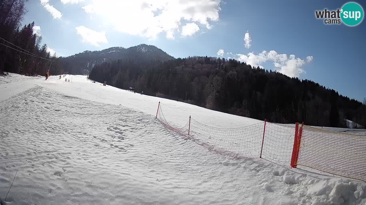 Comprensorio sciistico Kranjska Gora | Brsnina