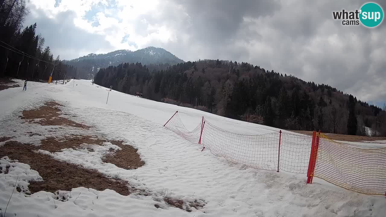 Ski Kranjska Gora | Brsnina