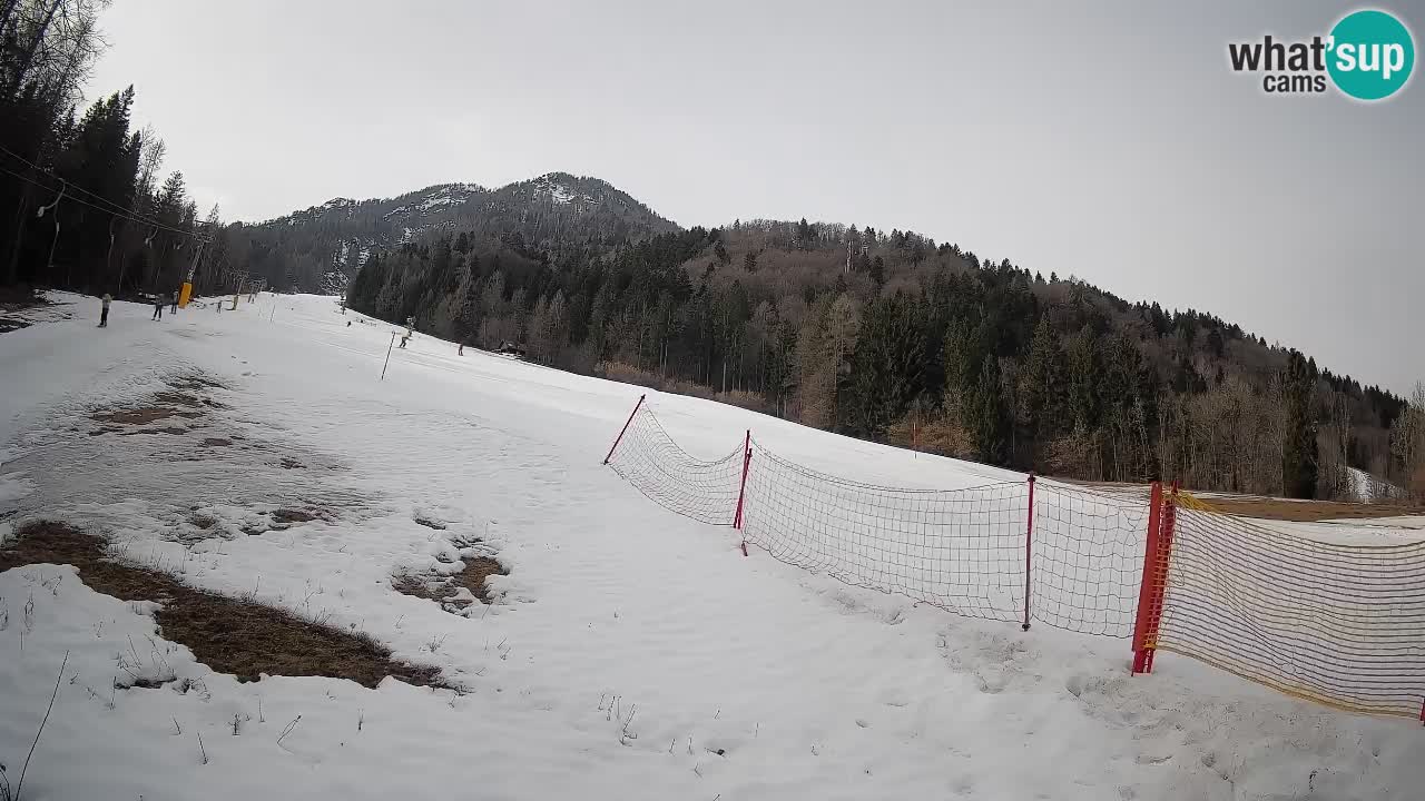 Ski Kranjska Gora | Brsnina