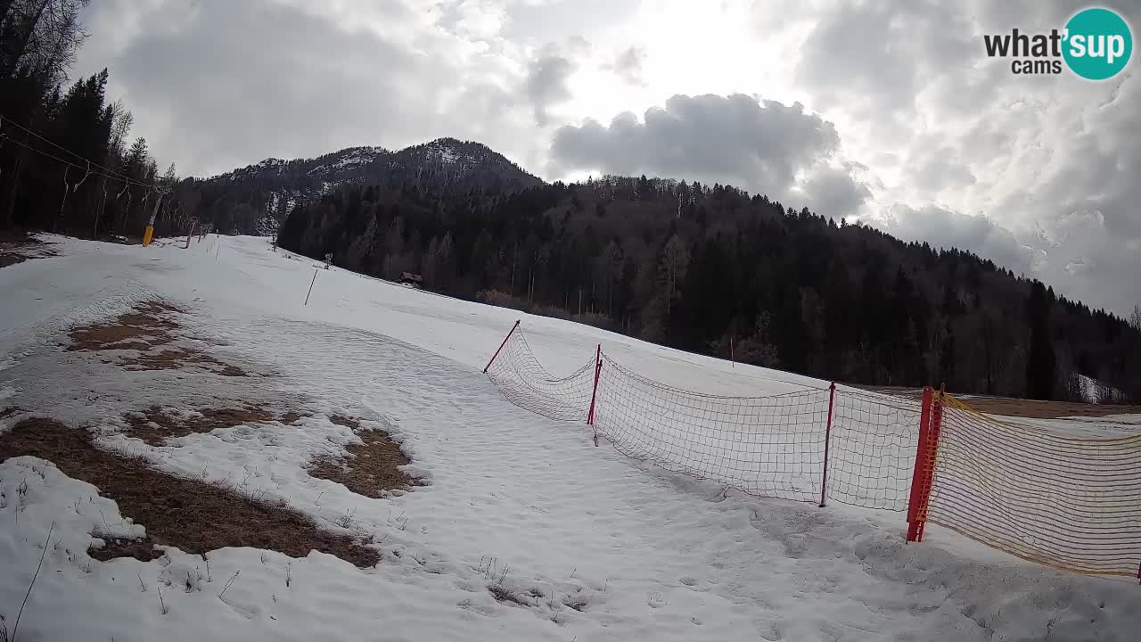 Esquí Kranjska Gora | Brsnina