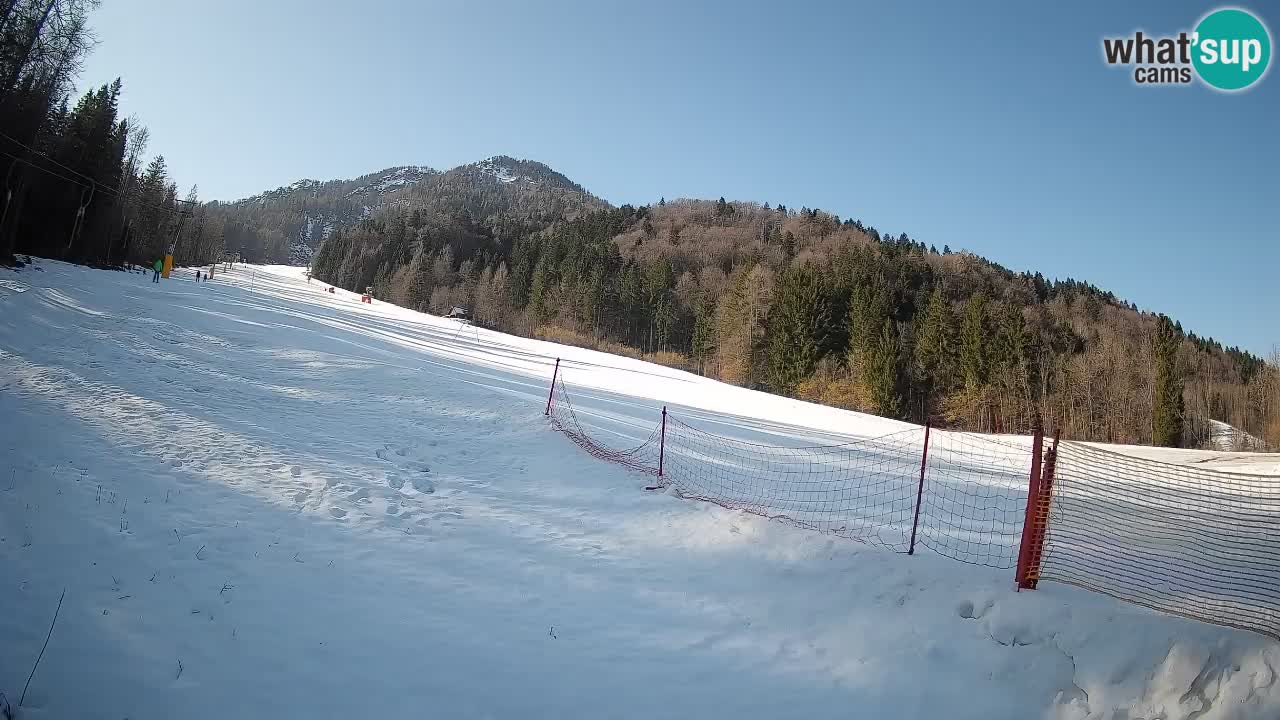 Esquí Kranjska Gora | Brsnina