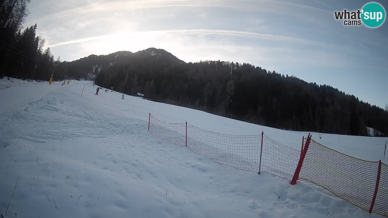 Ski Kranjska Gora | Brsnina