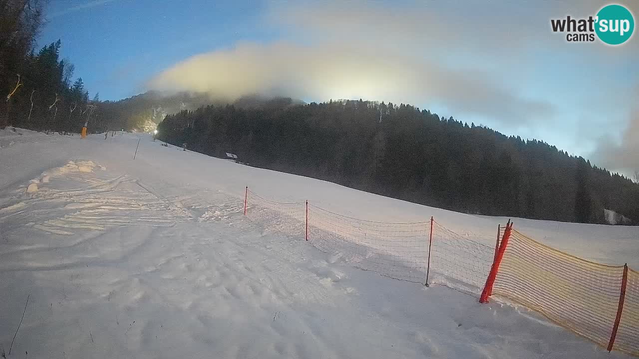 Ski Kranjska Gora | Brsnina