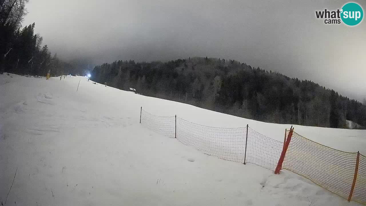 Ski Kranjska Gora | Brsnina