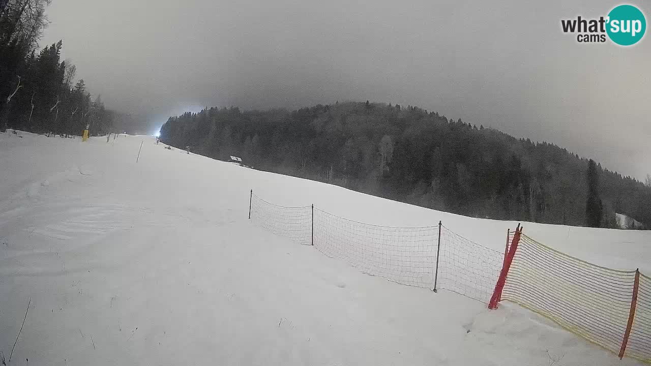 Ski Kranjska Gora | Brsnina