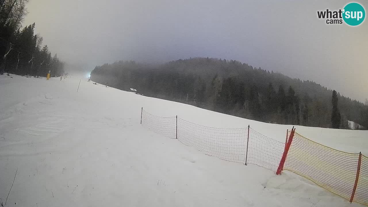 Comprensorio sciistico Kranjska Gora | Brsnina