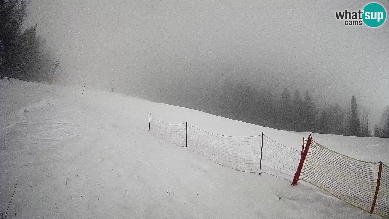 Kranjska Gora SKIJANJE | Brsnina