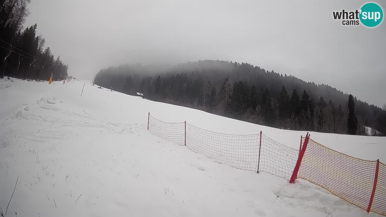 Comprensorio sciistico Kranjska Gora | Brsnina