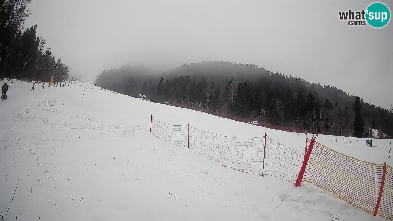 Kranjska Gora Station de ski | Brsnina