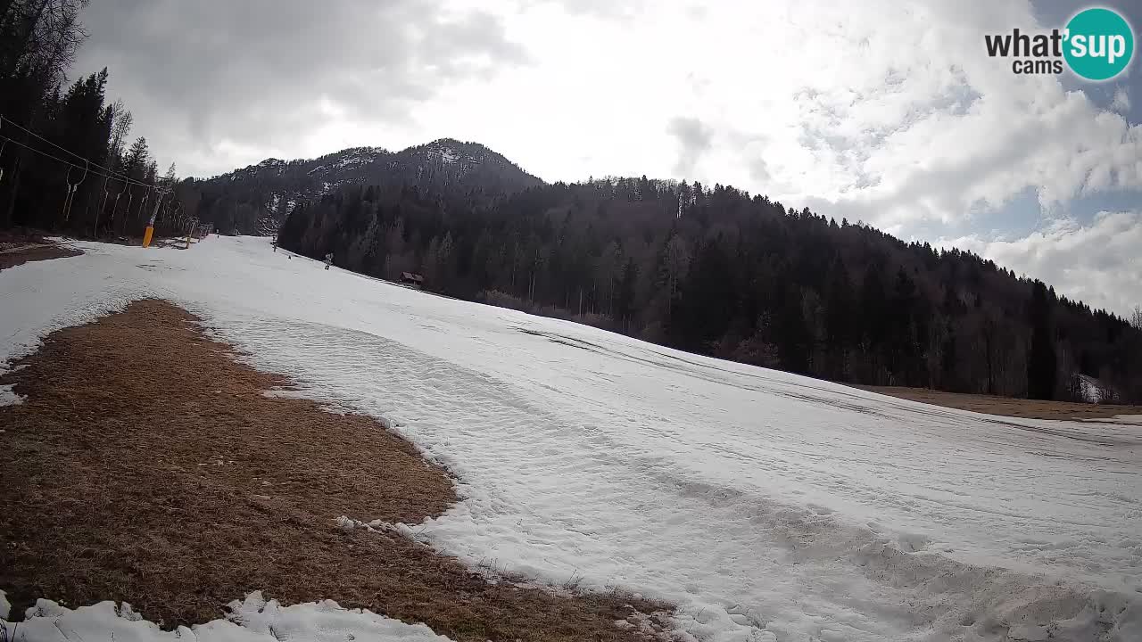 Kranjska Gora Station de ski | Brsnina