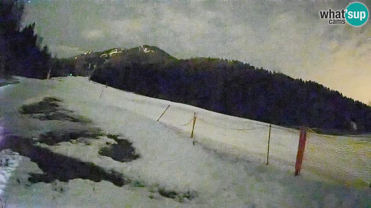 Esquí Kranjska Gora | Brsnina