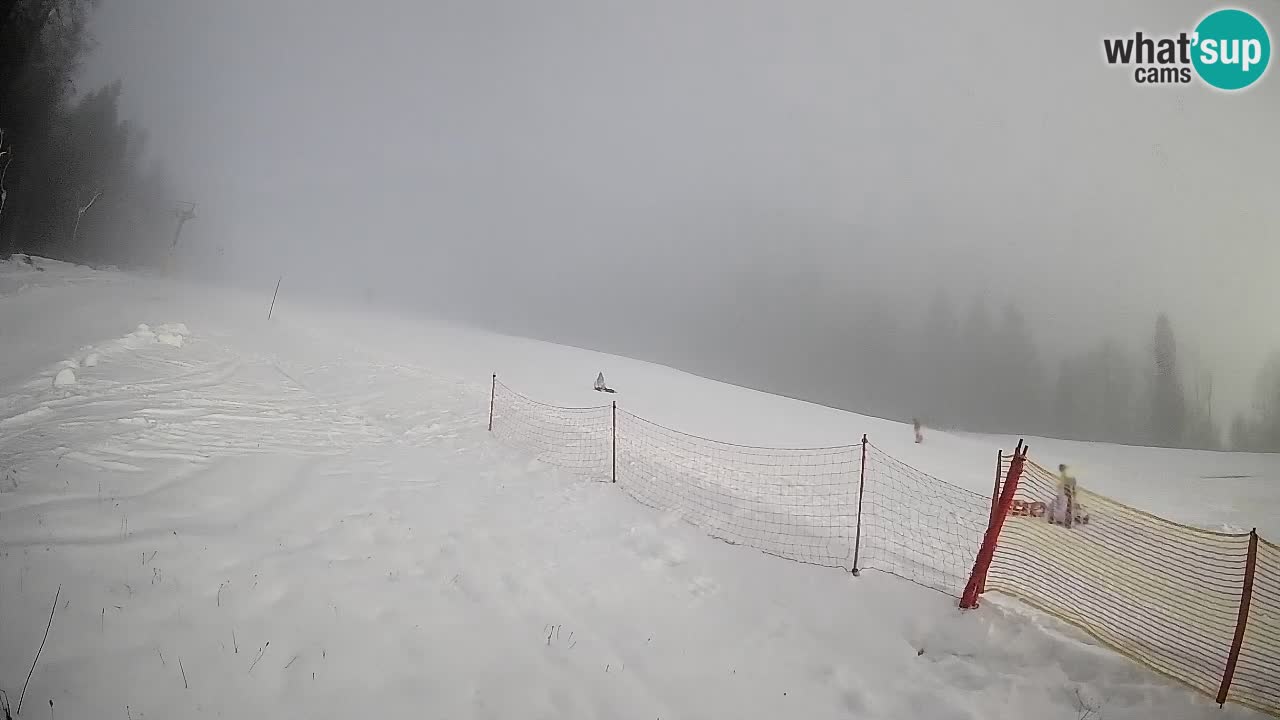 RTC Kranjska Gora | Brsnina