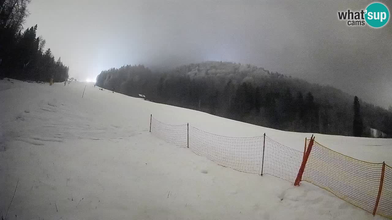 RTC Skigebiet Kranjska Gora | Brsnina