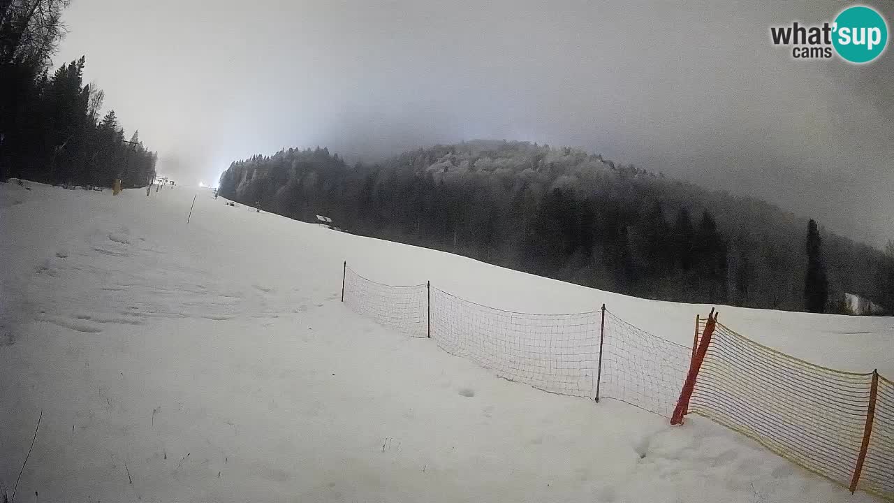 RTC Skigebiet Kranjska Gora | Brsnina