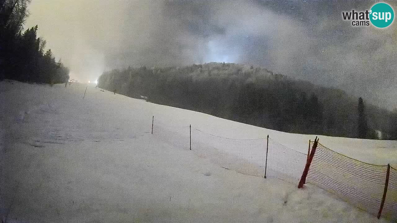 RTC Skigebiet Kranjska Gora | Brsnina