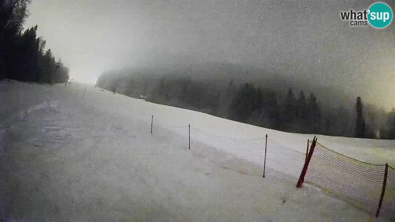 RTC Skigebiet Kranjska Gora | Brsnina