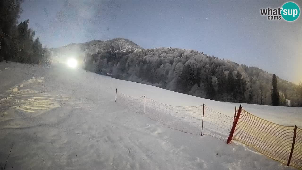 Comprensorio sciistico Kranjska Gora | Brsnina