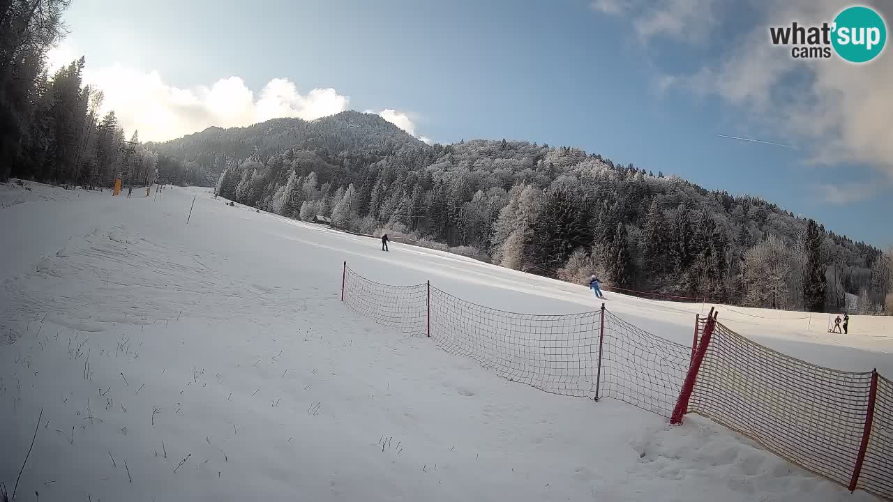 Ski Kranjska Gora | Brsnina
