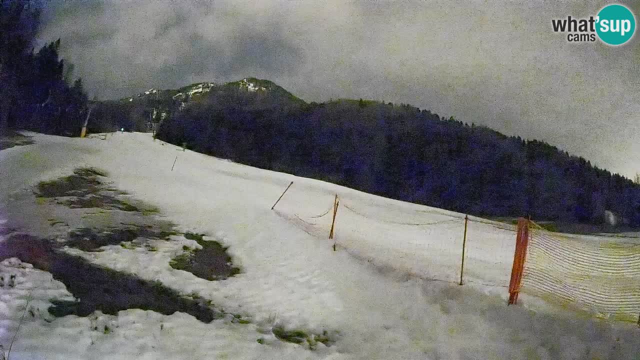 RTC Skigebiet Kranjska Gora | Brsnina