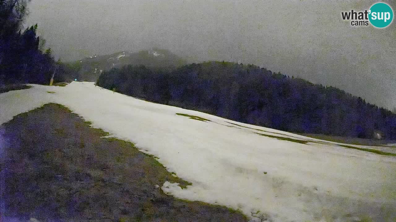 Comprensorio sciistico Kranjska Gora | Brsnina