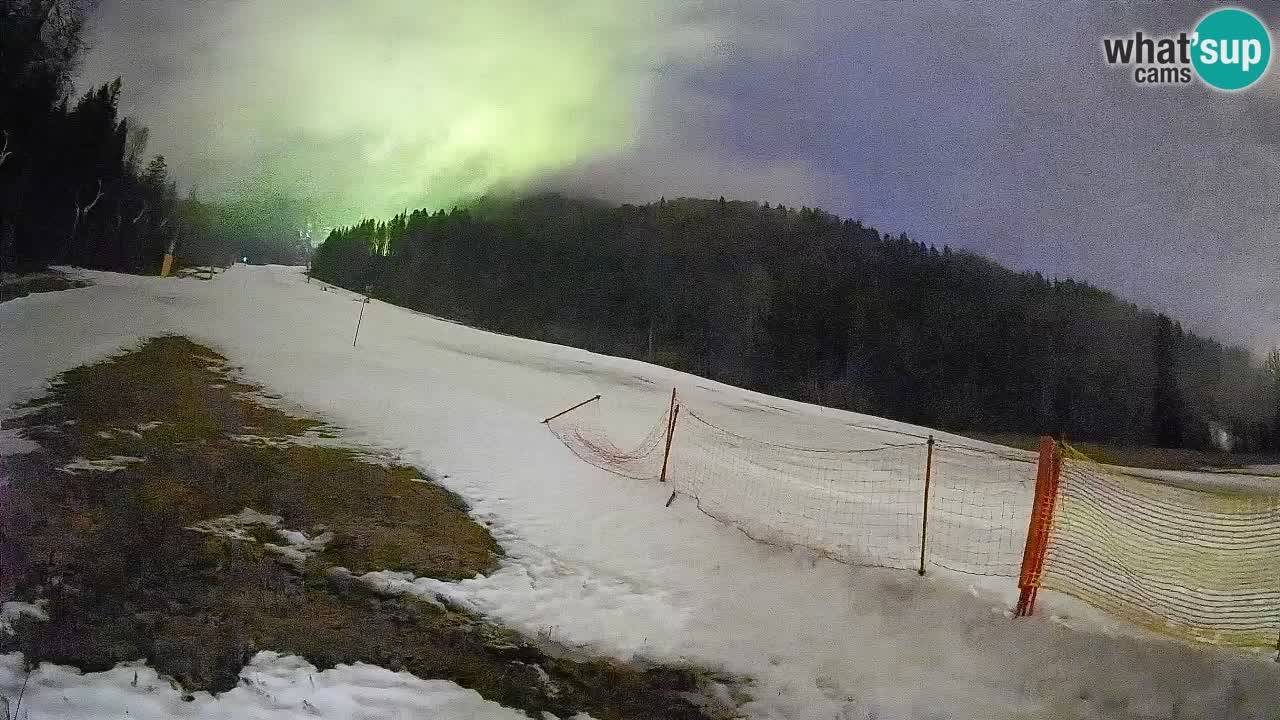 Kranjska Gora Station de ski | Brsnina